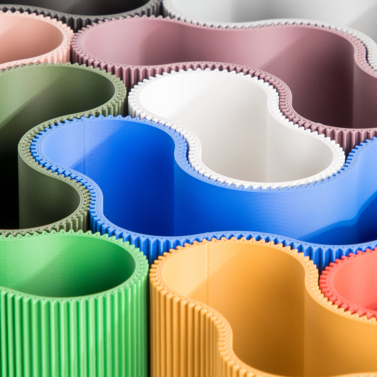 CORAL MODULE FOUR - ORGANIZER