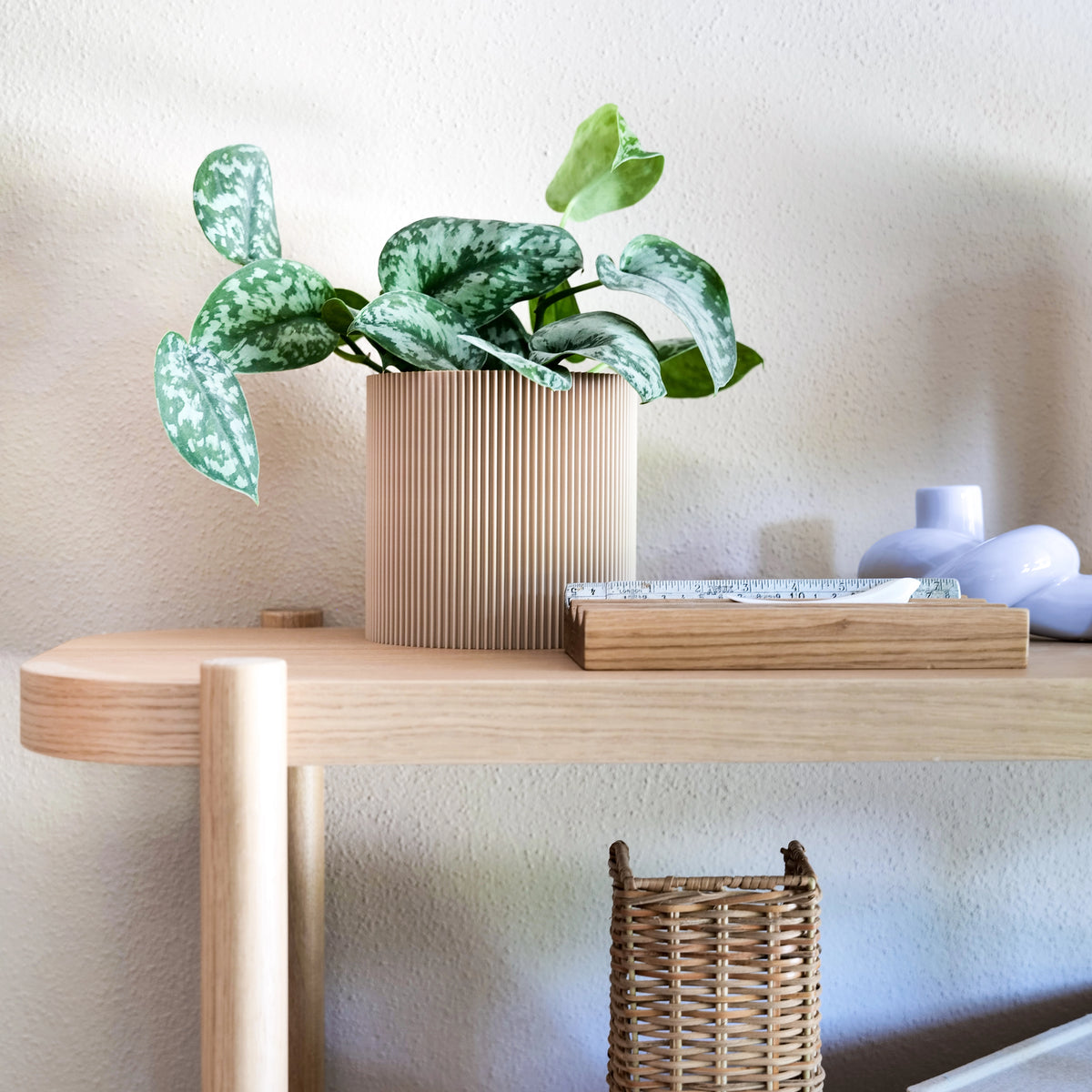 GERADE - PLANTER