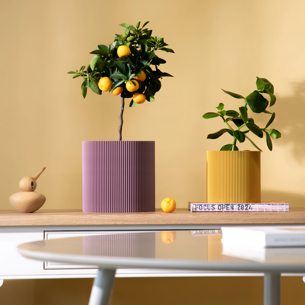 GERADE - PLANTER