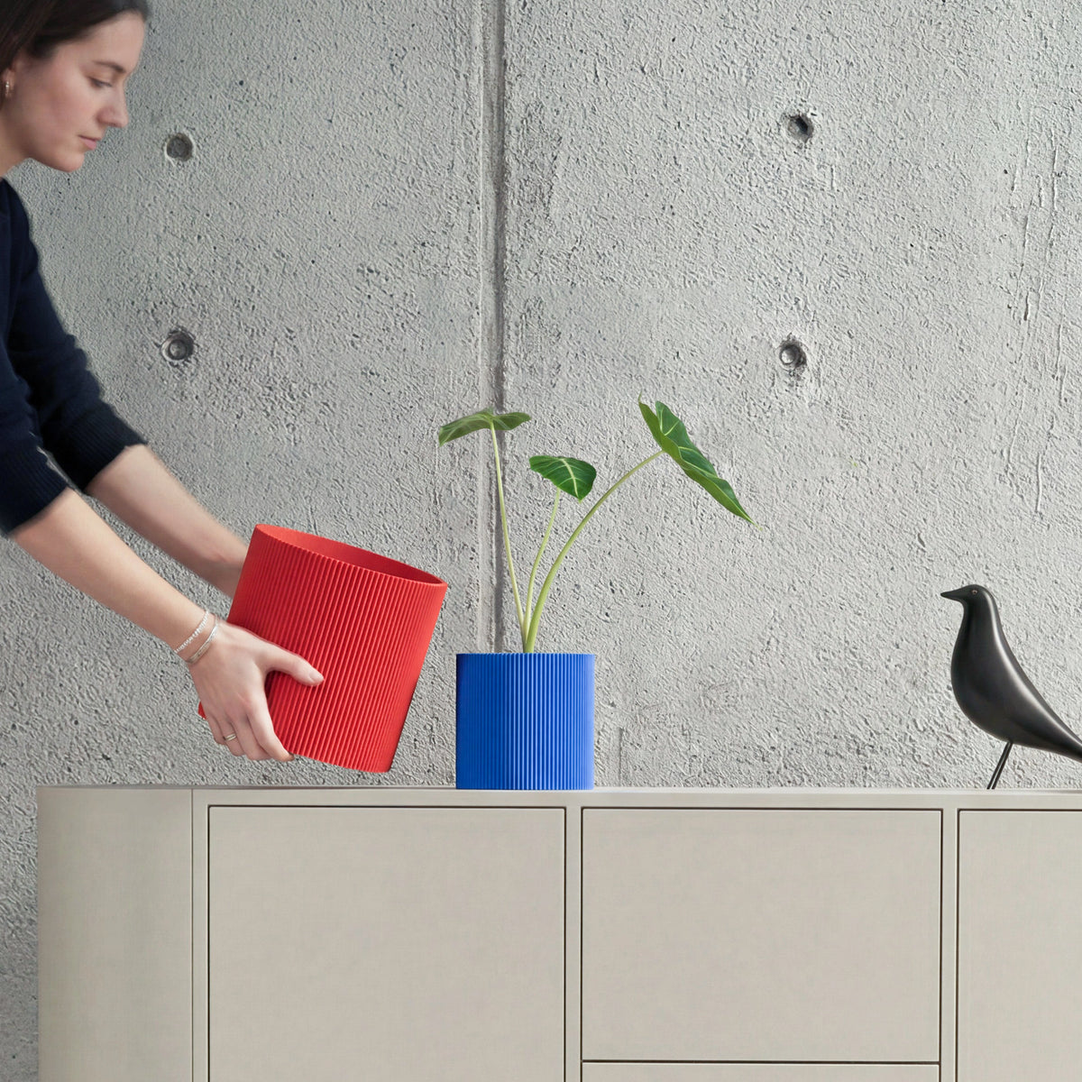 GERADE - PLANTER